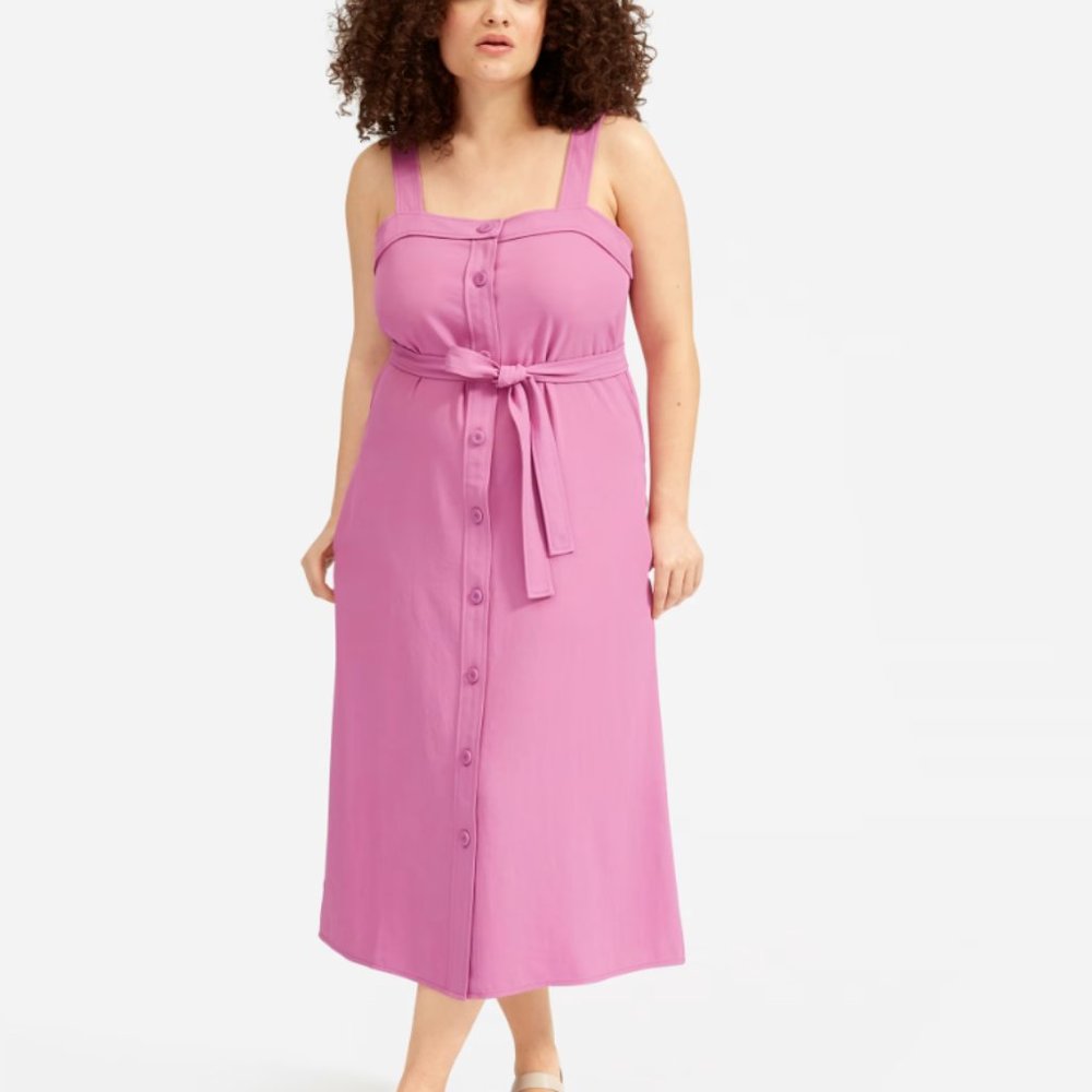 Everlane | The Japanese GoWeave Picnic Dress